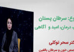 image-video3